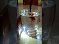 2 Next Level Science Tricks At Home #shorts