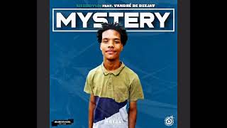 Sheddy101 - Mystery (feat. Vandré De Deejay) Official Audio