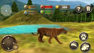 Wild Tiger Survival Simulator