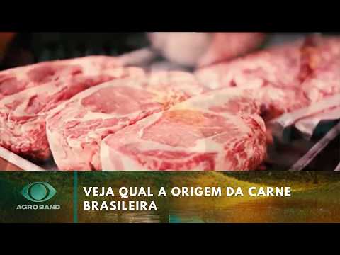 Discover the origin of Brazilian beef | Agro Band