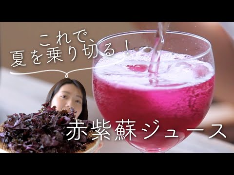 【さきページ】赤紫蘇どっさり♪ 夏を元気に！赤紫蘇シロップのレシピ・作り方 - YouTube