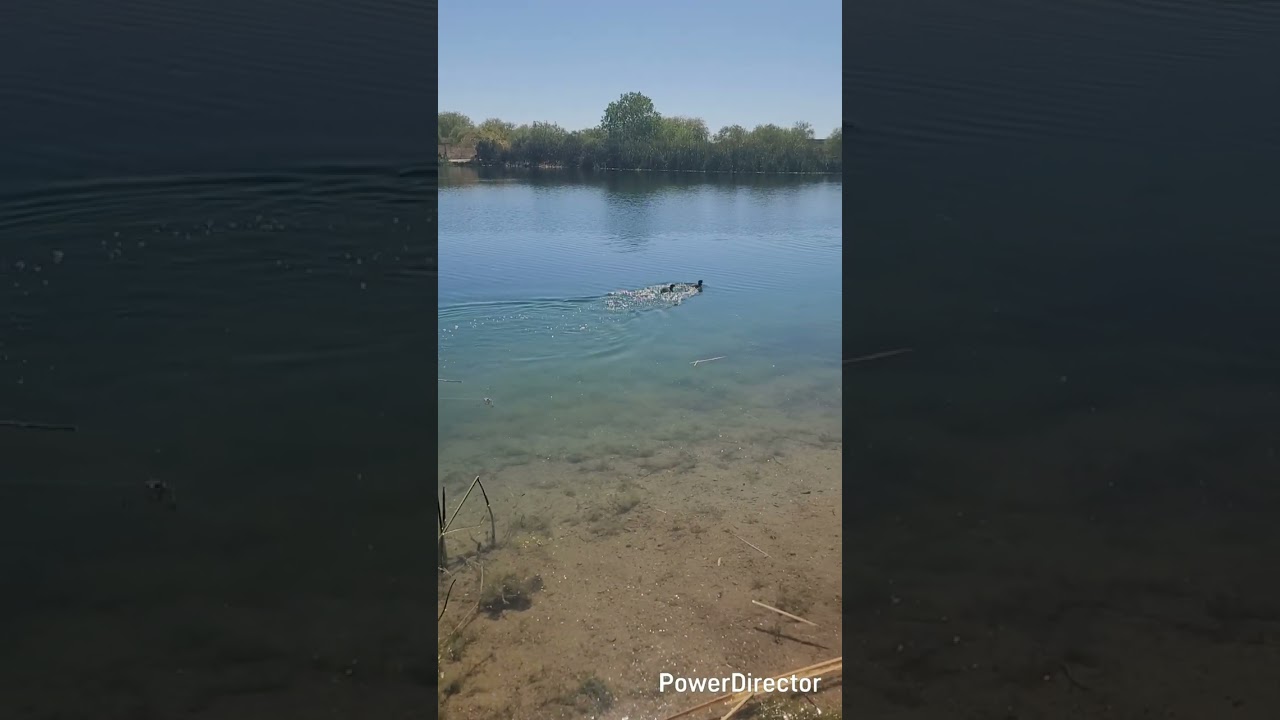 Biking at Veterans Oasis before the AZ summer heat!