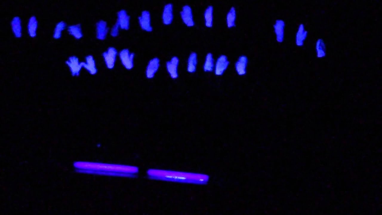 5th Grade River Oaks doing WHO AM I ) Black Light Sign Language