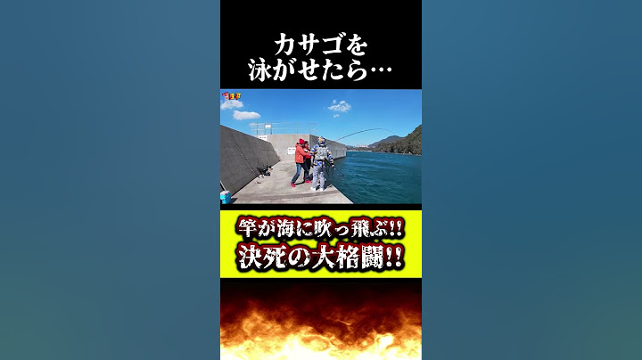 堤防でカサゴを泳がせたらとんでもない怪物食ってきた