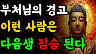 부처님의 경고 다음생에 짐승으로 태어나는 사람들은 공통점이 있다 | 부처님말씀 | 부처님지혜 | 불교철학 | 인생조언