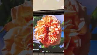 Even Better Than A Straight Species Peony Or Rose, Are The Countless Native Plants We Discussed All