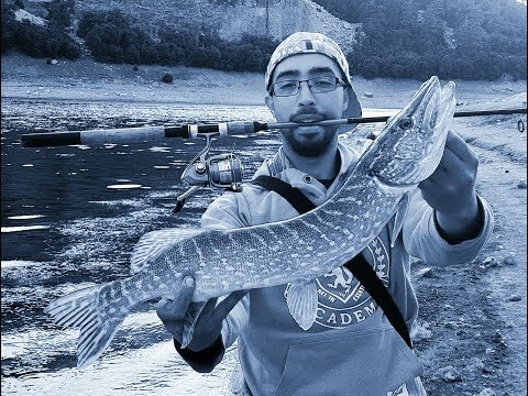 Brochet Pêcher Et Relâché Aglmam Azegza Maroc صيد سمك زنجور بحيرة اكلمام المغرب