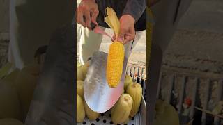 Easiest Way To Cut Corn In Thailand