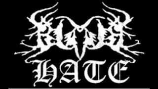 Black Hate - Negativity (Life Is Pain cover)