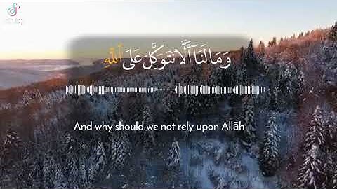 وديع اليمنى|وما لنا ألا نتوكل على الله|#حالات_واتس_دينيه #قران_كريم #تلاوه_هادئه #راحة_نفسية