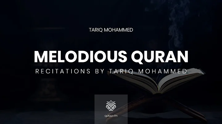 All Quran Recitations by Tariq Mohammed |