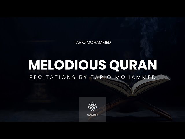 All Quran Recitations by Tariq Mohammed | طارق محمد class=