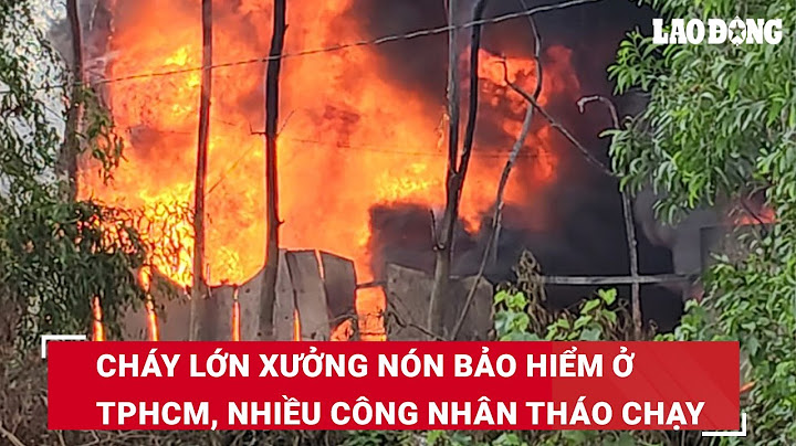 Bảo hiểm thất nghiệp quận 12 nguyễn văn quá năm 2024