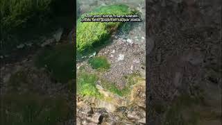 Bazen Yalnız Kalmak, Kalabalıktaki Sahte Gülüşlerden Daha Gerçektir