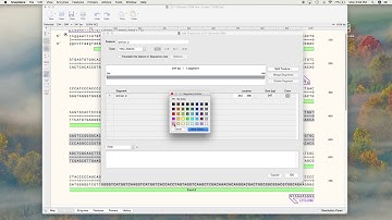 SnapGene Tutorial Part 2 How to annotate DNA Segments