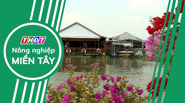 Toàn cảnh Nông nghiệp - 7/6/2025 | Nông nghiệp Miền Tây