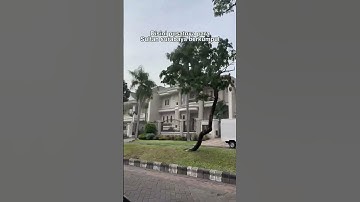 Thumbnail of Yuk Jalan Jalan ke Perumahan Crazy Rich Surabaya Barat #shorts