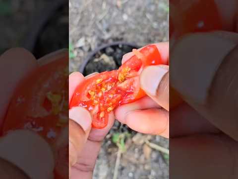 How to grow
