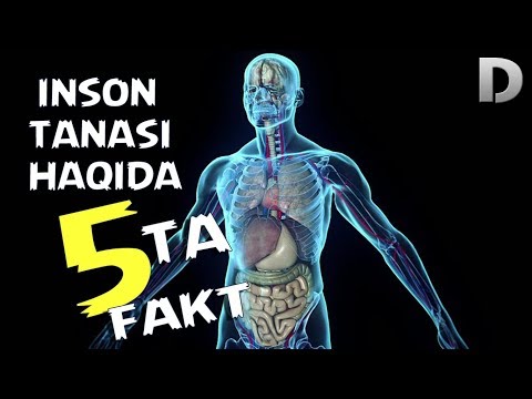 Video: Odamlarda jami nechta autosoma bor?