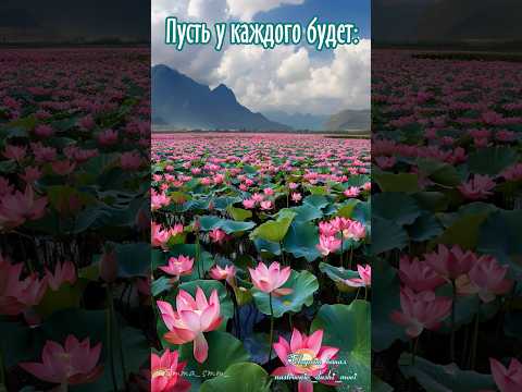 #длявасдрузья #доброеутро #музыкальнаяоткрытка #видеоролики #доброеутрооткрытки #сдобрымутром