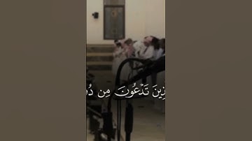 #قران_كريم #سورة_فاطر #اكسبلور #قران #لايك #المصحف #فاعل_خير #راحة_نفسية #قران_كريم_ارح_سمعك_وقلبك