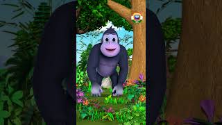 पहाड़ी गोरिला गाना  #shorts #savethegorilla #ChuChuTVHindi #kidssongs #learningsongs #animalshorts