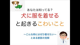 【獣医がやさしく解説】犬に服を着せると起きる怖いこと〜こんな時には着せたい〜とある獣医師の見解