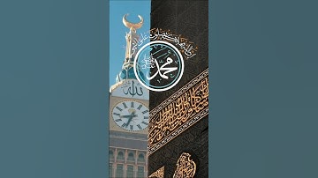 إن الله وملائكته يصلون على النبي.. #صلوا_على_النبي  #ريحانة_قرآن #قرآن #quran #راحة_نفسية #تلاوات