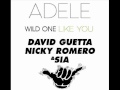 Adele vs. David Guetta, Nicky Romero & Sia - Wild One Like You (HangLoose MashUp)