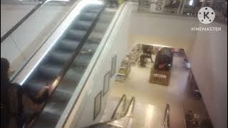 Escalators @ Elys in Wimbledon
