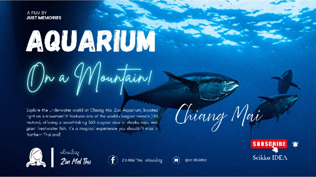 Did you know there's an ocean on the mountain?