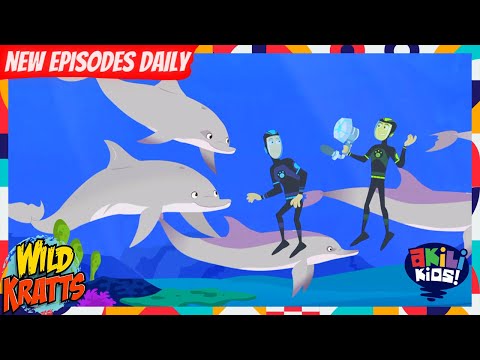 WildKratts | Speaking Dolphinese! | Akili Kids!