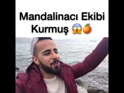 Pazarda mandalina satan genç ekibini kurmuş