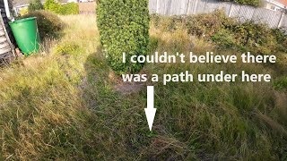 Garden untouched for YEARS | HIDDEN pathways | FREE yard tidy | long grass cutting edging mowing