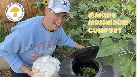 making mushroom compost: what to do with spent substrate on a mushroom farm