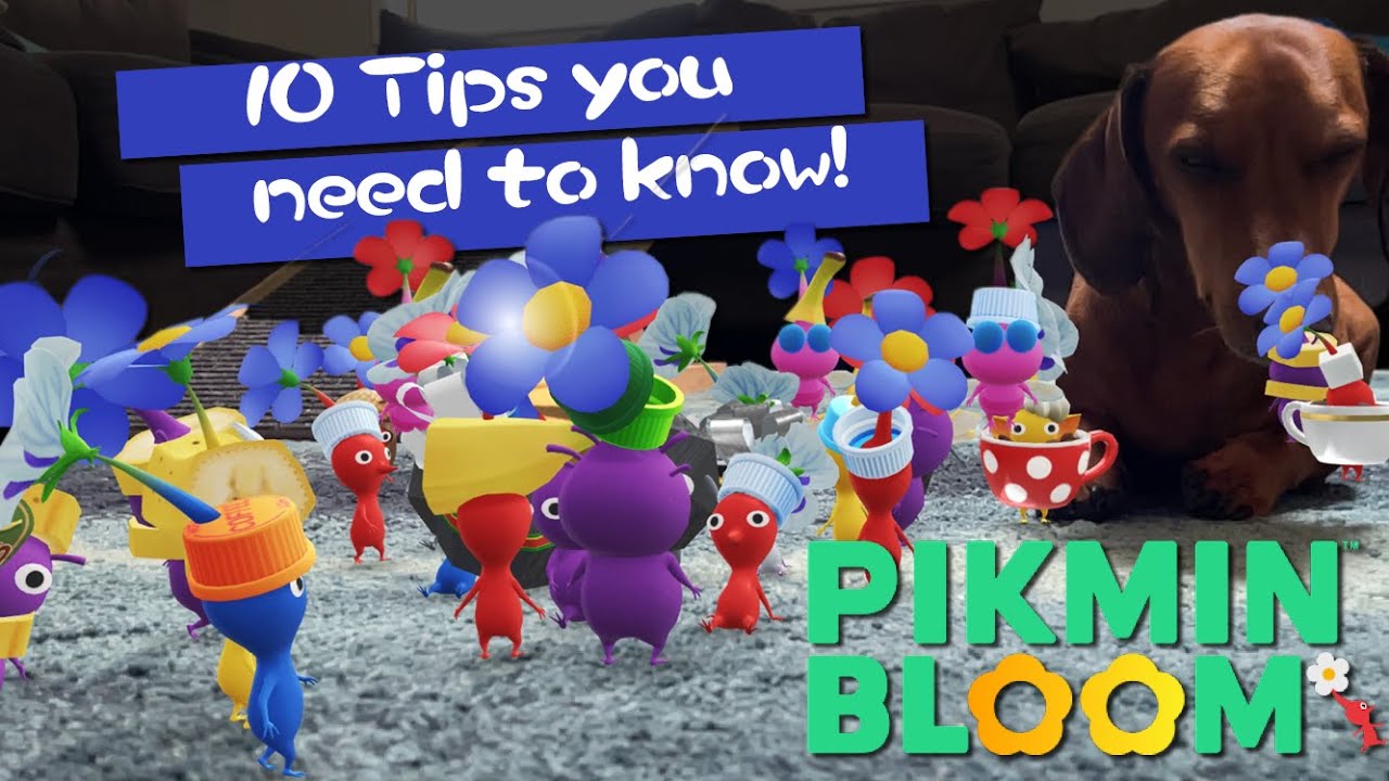 Pikmin Bloom Tips and Tricks
