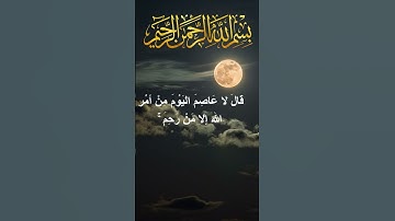 تلاوة تأخذك إلى عالم آخر من سورة هود (قصة نوح)