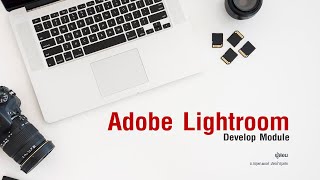 Adobe Lightroom - การจัดการรูปภาพใน Develop (ปฏิบัติ) [ตอนที่ 2 การปรับแต่งภาพเฉพาะจุด]