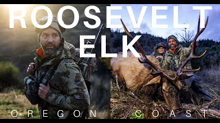 Oregon Coast Roosevelt Elk Hunt | Don Trump Jr.
