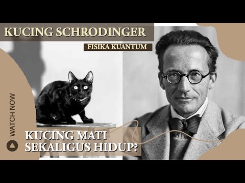 Video: Fisikawan Telah Menciptakan Drum Kuantum Berdasarkan Prinsip Kucing Schrödinger - Pandangan Alternatif