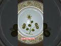 #mizanur_rahman_azhari #cookingfood #automobile #unfrezzmyaccount #unfrez #food #foodart #foodart