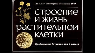 Диафильм Строение и жизнь растительной клетки /по ботанике для 5 класса/ Диафильм Строение и жизнь растительной клетки /по ботанике для 5 класса/