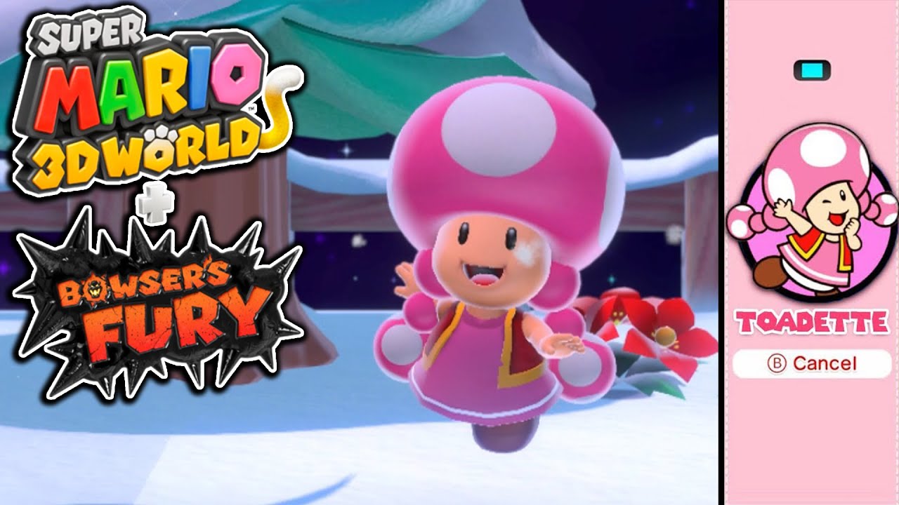 super mario 3d world toadette