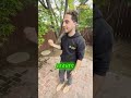 I M Not Sure About You But I Kind Of Hate Edison What Is Your Experience Socaleddison I M Not Sure About You But I Kind Of Hate Edison What Is Your Experience Socaleddison