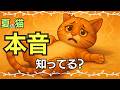 【猛暑】暑い夏。猫の本音知っていますか？