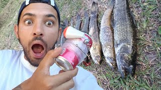 Linhada Caseira Para Pescar Traíra Aprenda A Fazer