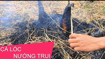 MGMienTay - CÁ LÓC NƯỚNG TRUI | ĐẶC SẢN MIỀN TÂY