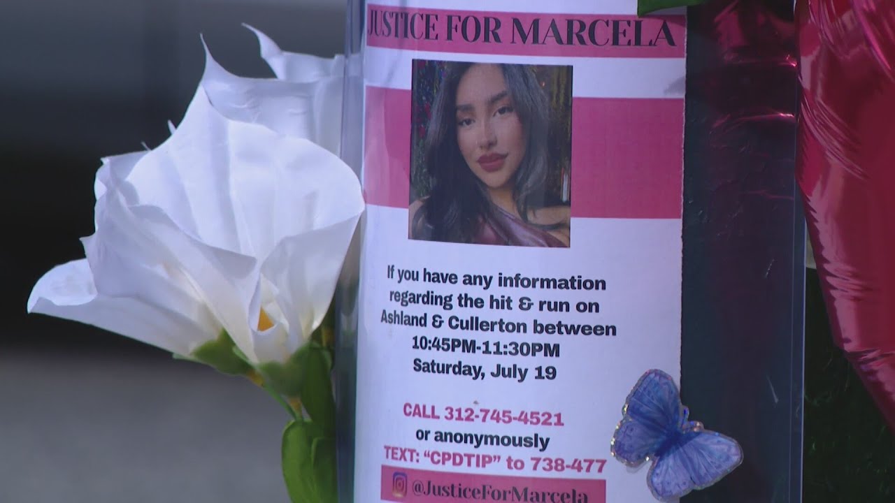Family pleads for help finding driver who killed woman in Pilsen hit ...