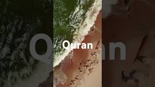 Surah Nisa ayat 135-136 urdu translation