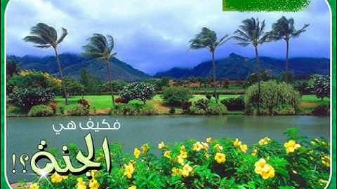 القارئ الشاب محمد الأسلمي .wmv